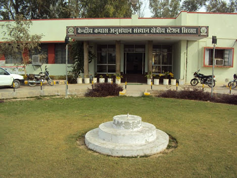 ICAR-CICR, Regional Station, Sirsa