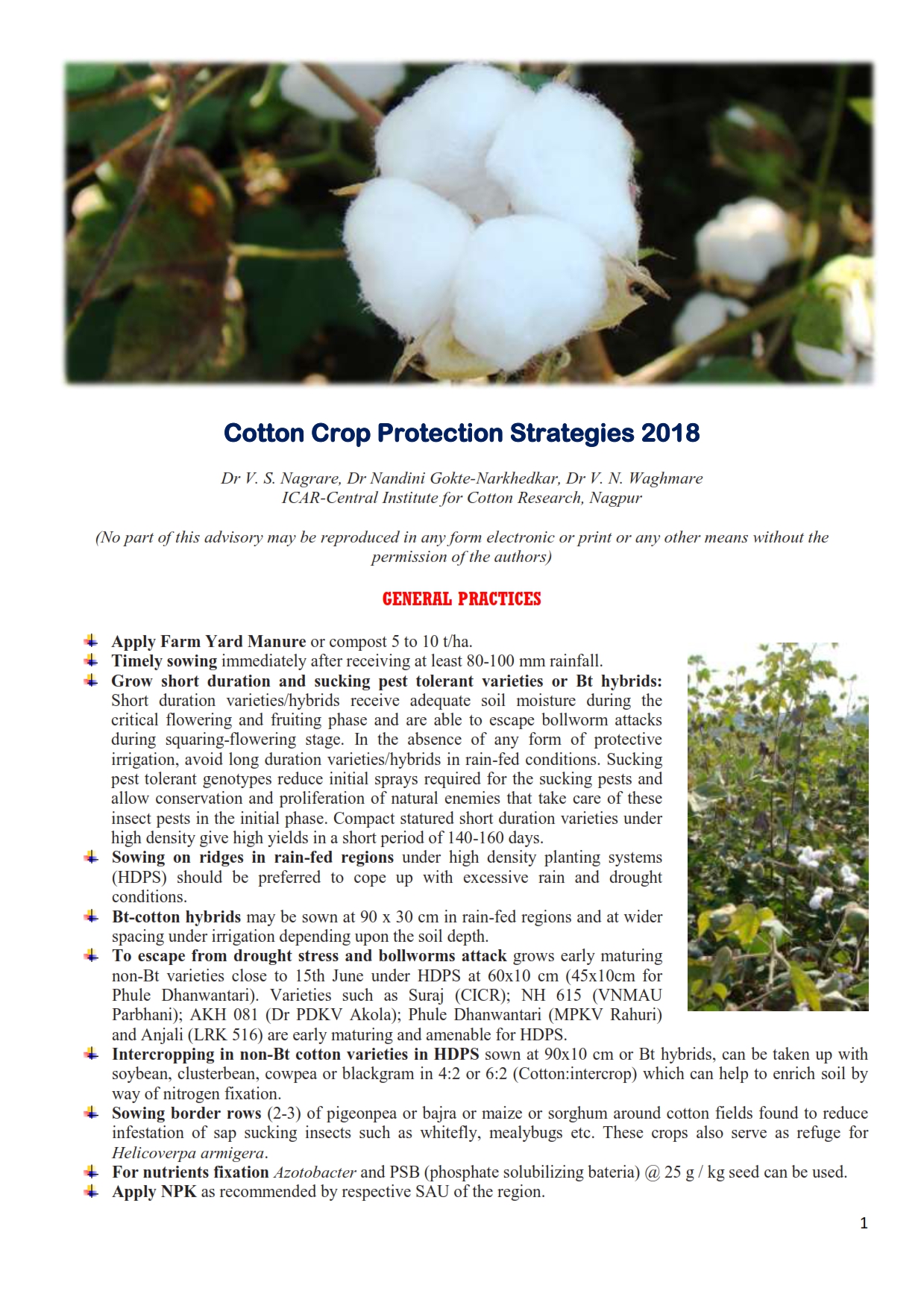 cottoncrpoprotectionstrategies